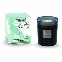 candle Esteban pur lin LIN-008