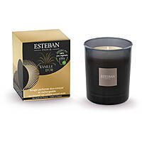 candle Esteban Vanille D'or VAN-008