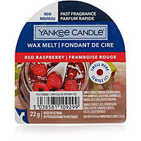candle Yankee Candle 1676086E