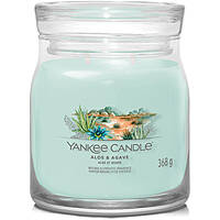 candle Yankee Candle SS24 Q1 1749328E
