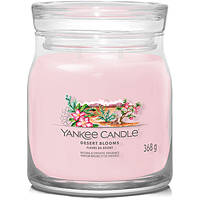 candle Yankee Candle SS24 Q1 1749330E