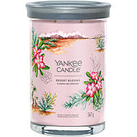 candle Yankee Candle SS24 Q1 1749339E