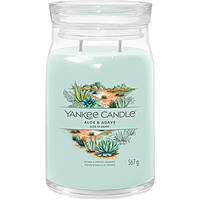 candle Yankee Candle SS24 Q1 1749343E