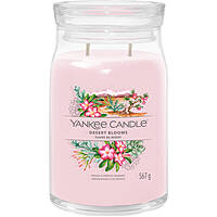 candle Yankee Candle SS24 Q1 1749351E