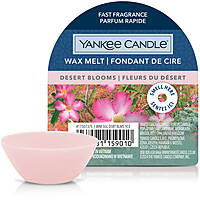 candle Yankee Candle SS24 Q1 1750737E