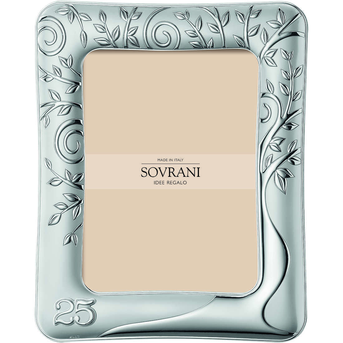 frame in silver Sovrani B707