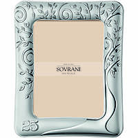 frame in silver Sovrani B707