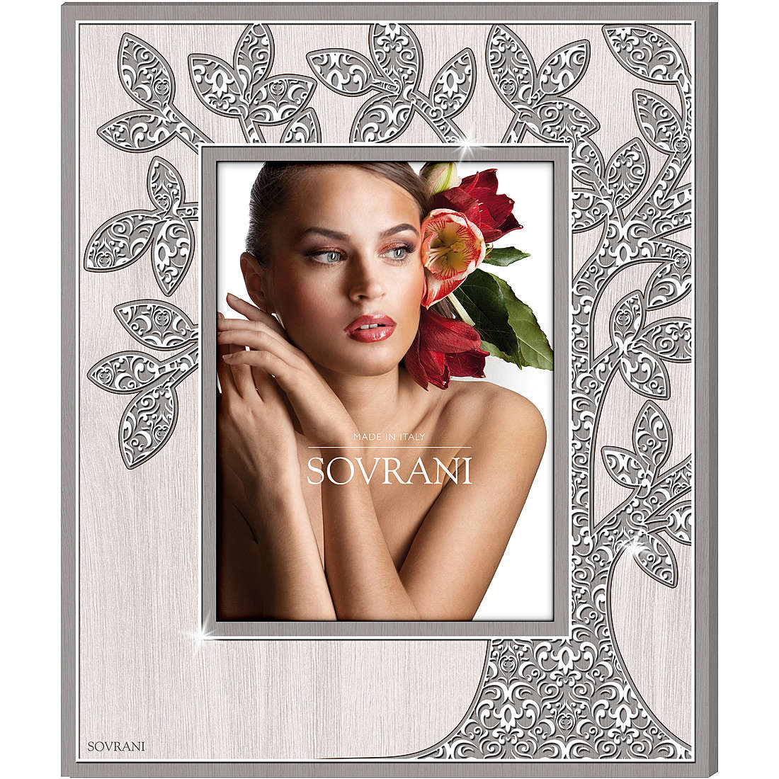 frame in silver Sovrani W483