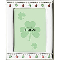 frame in silver Sovrani W5251