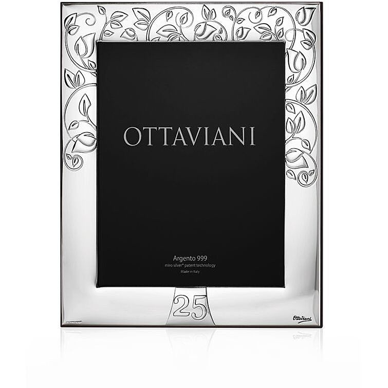 frame Ottaviani 5008