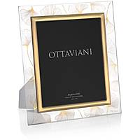 frame Ottaviani 6005CO