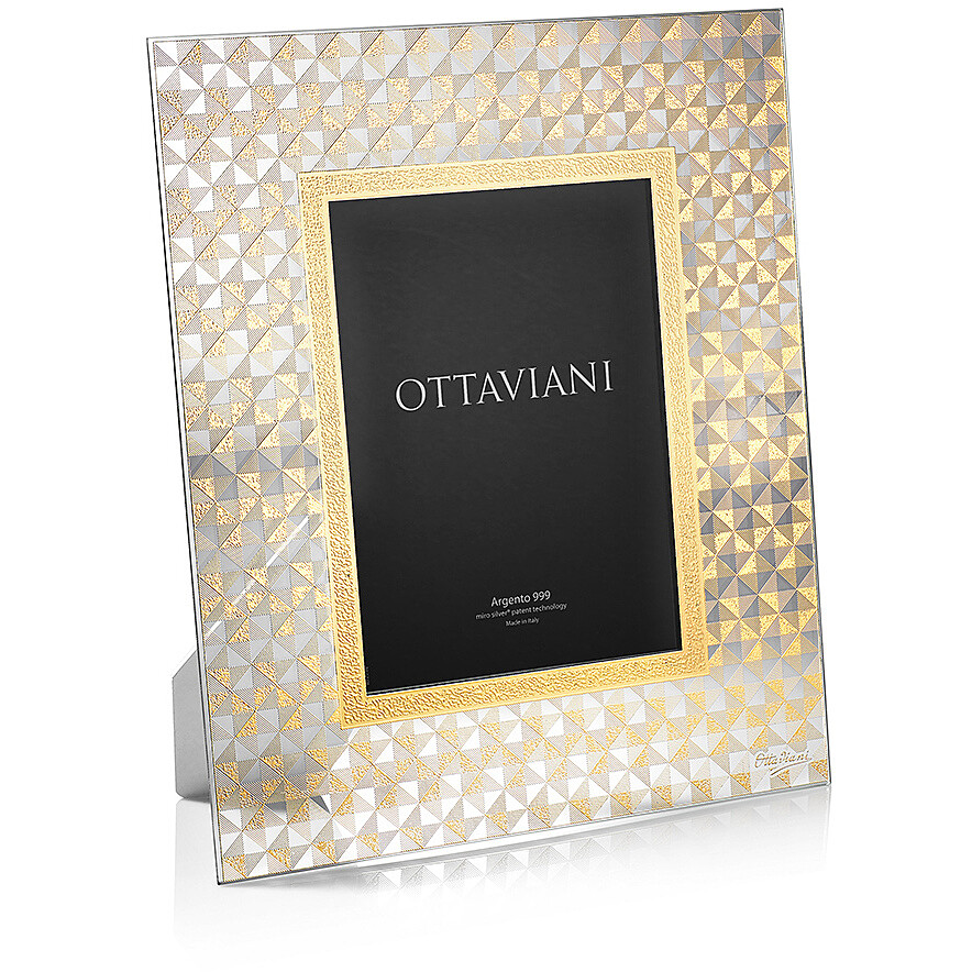 frame Ottaviani 6008O