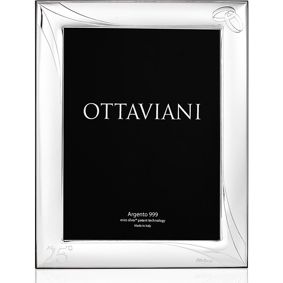 frame Ottaviani Miro Silver 5005