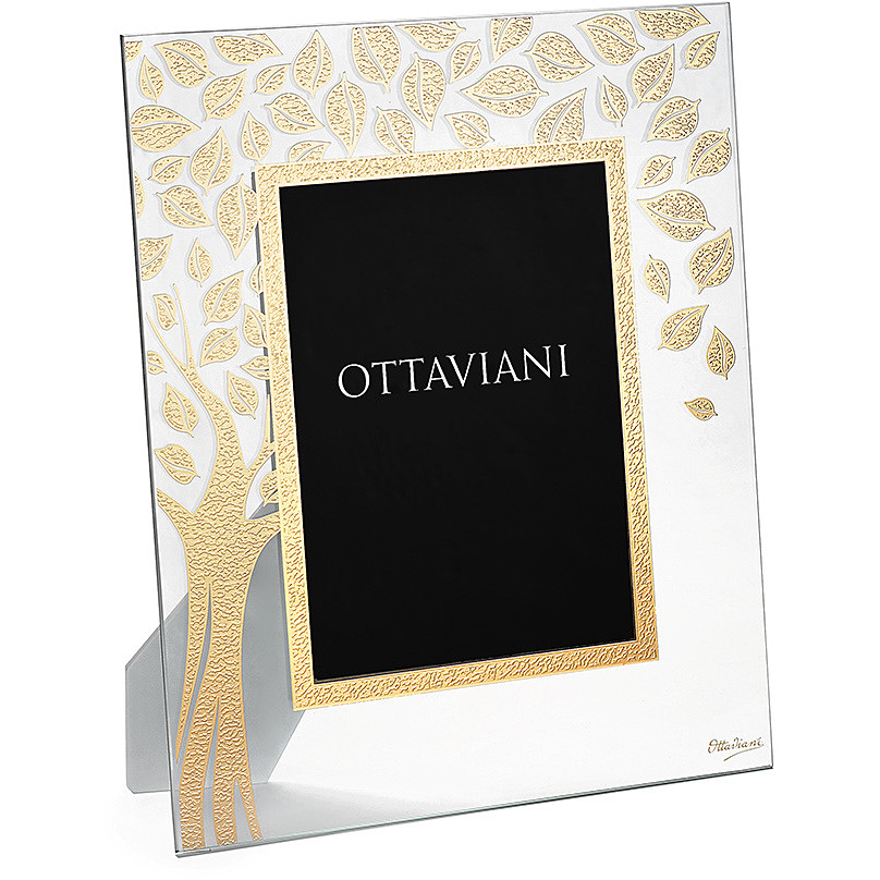 frame Ottaviani Miro Silver 6001O