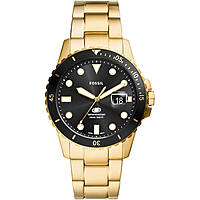watch accessory man Fossil Fossil Blue Dive FS6035