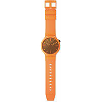 watch only time unisex Swatch Essentials Febbraio SB05O102