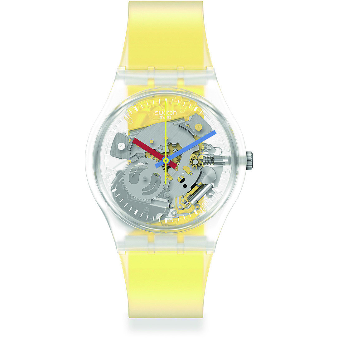 watch only time unisex Swatch Monthly Drops GE291