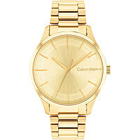 watch only time woman Calvin Klein Iconic 25200043