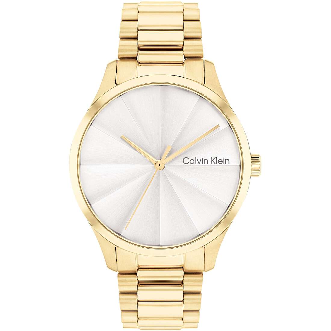 watch only time woman Calvin Klein Iconic 25200232