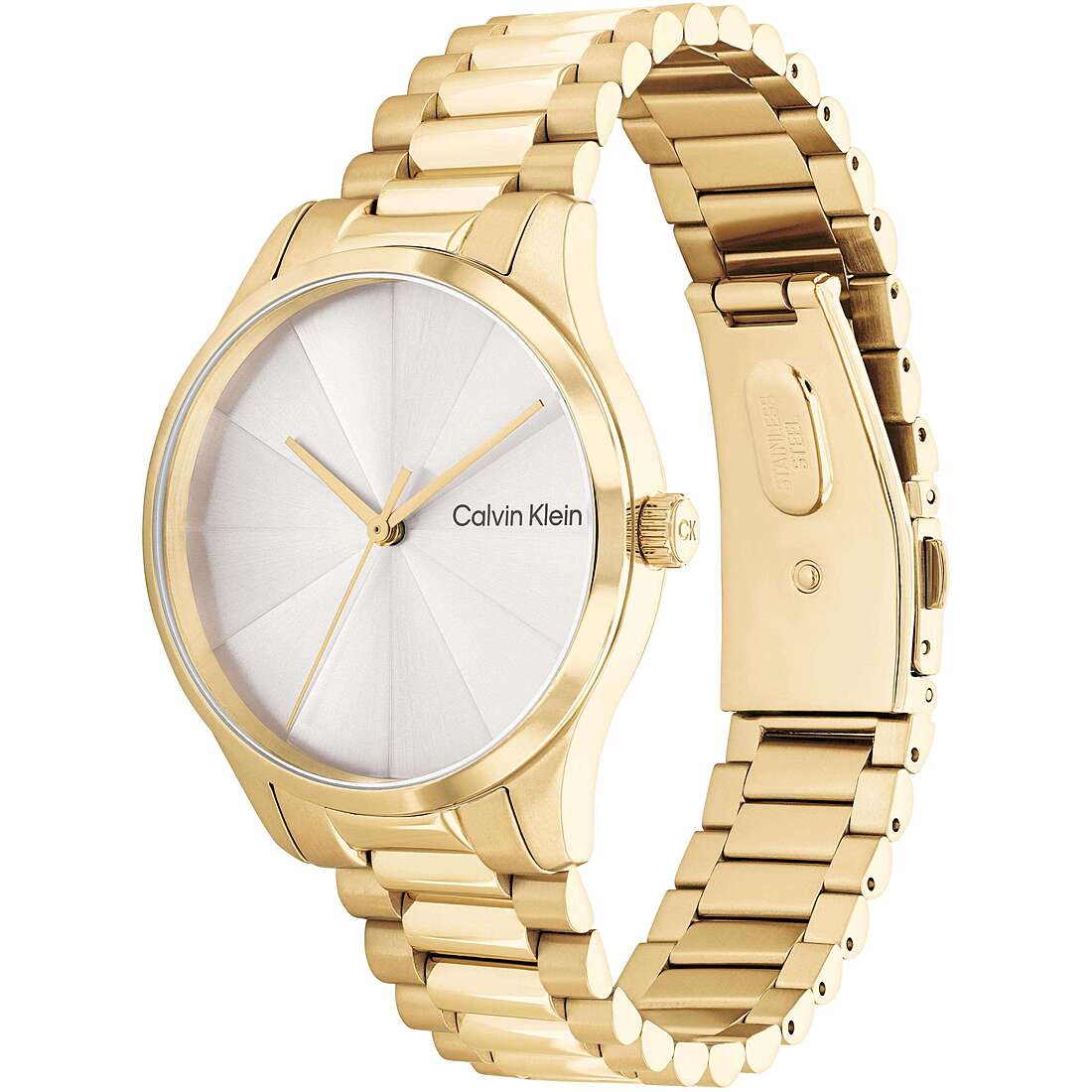 watch only time woman Calvin Klein Iconic 25200232