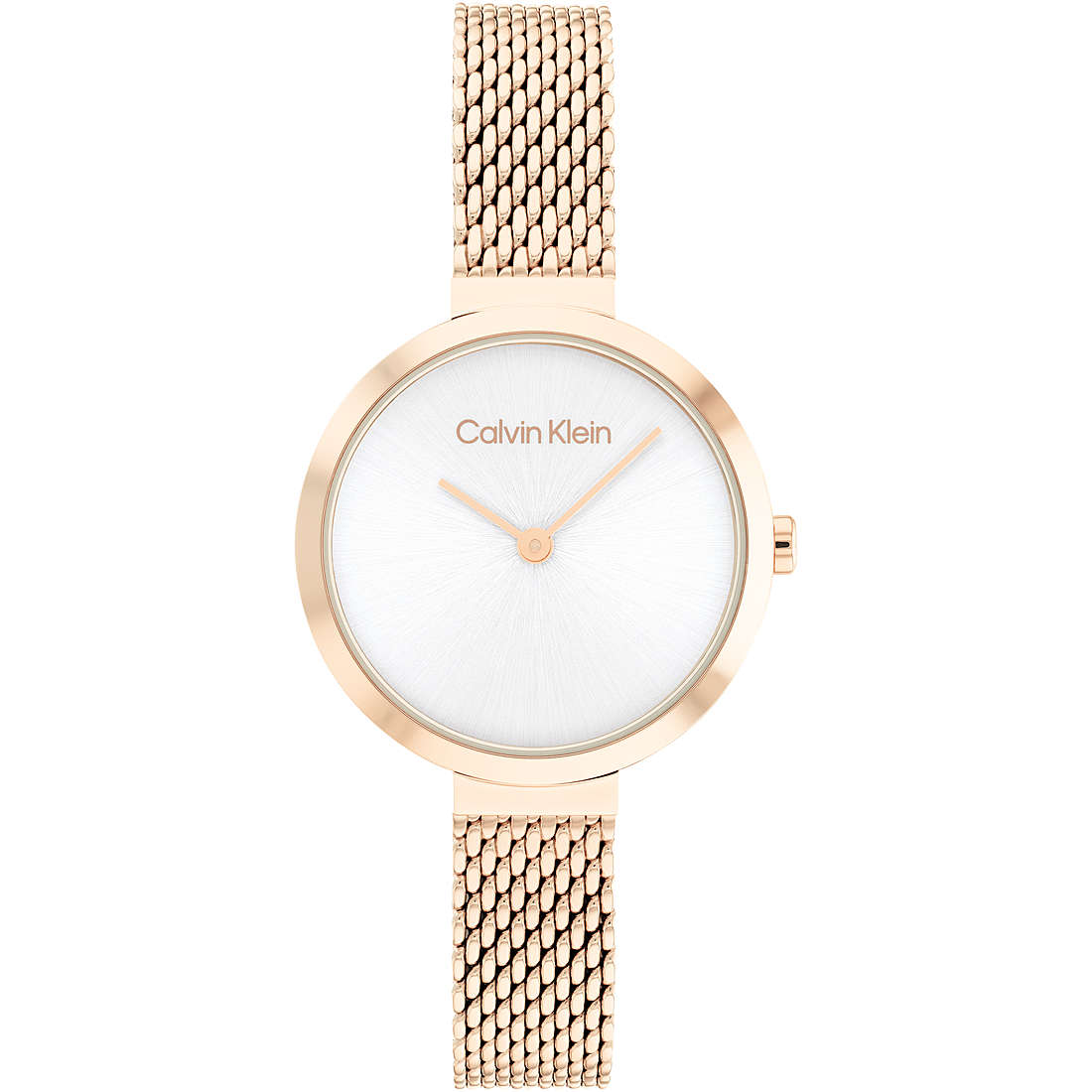 watch only time woman Calvin Klein Timeless 25200083