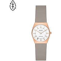 watch only time woman Skagen Grenen Lille SKW3079