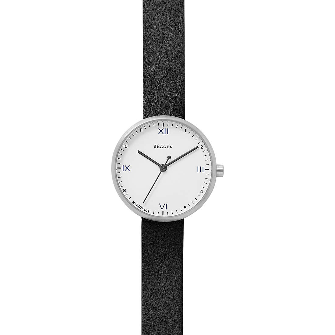 watch only time woman Skagen Signatur SKW2663