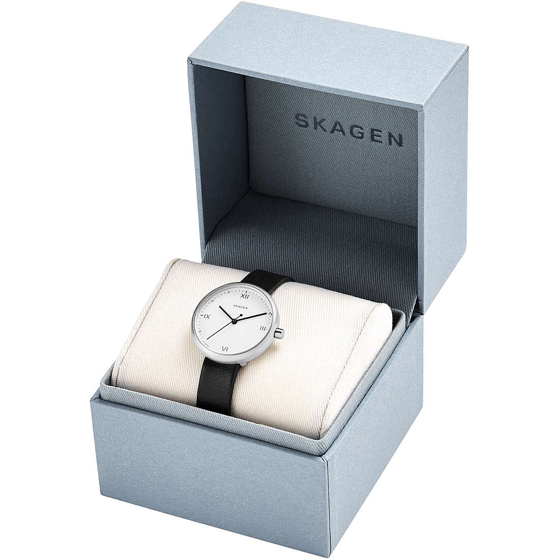 watch only time woman Skagen Signatur SKW2663
