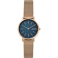 watch only time woman Skagen Signatur SKW2837
