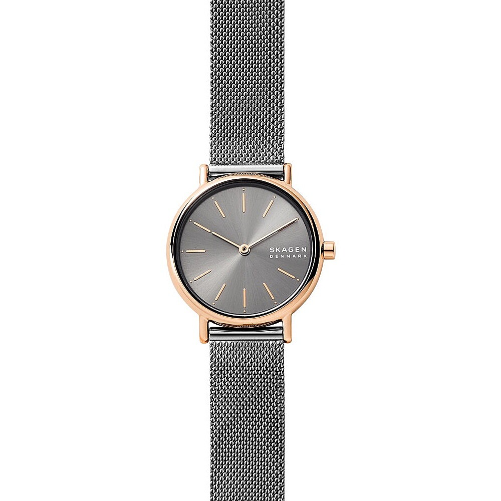 watch only time woman Skagen Signatur SKW2996