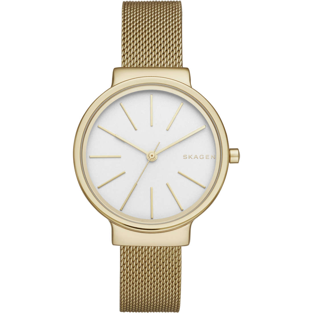 watch only time woman Skagen SKW2477