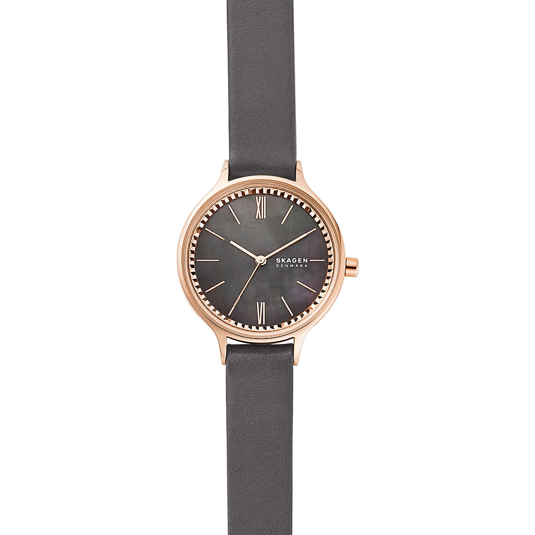 watch only time woman Skagen SKW2909