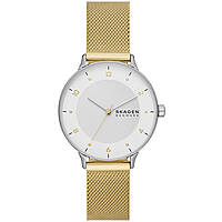 watch only time woman Skagen SKW3092